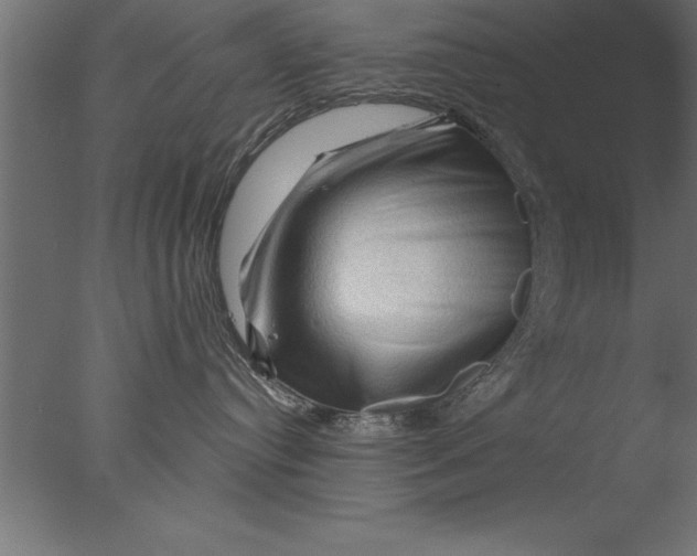 X0000076310384200610201619