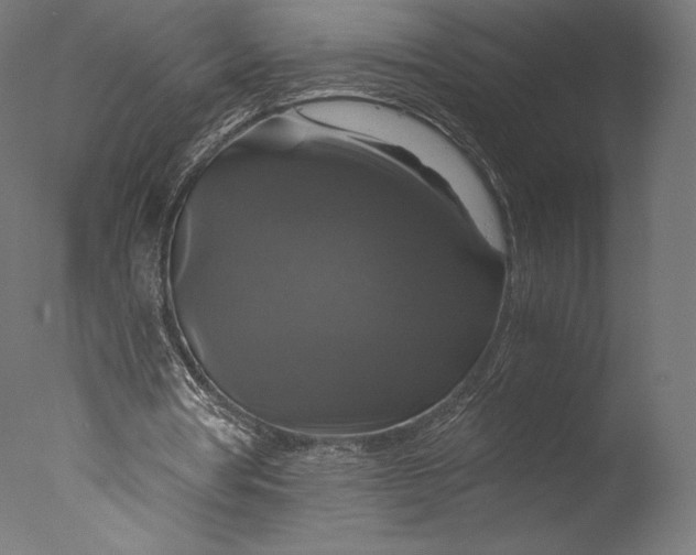 X0000076310386200610201618