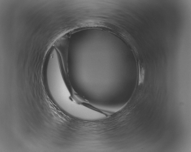 X0000076310387200610201618