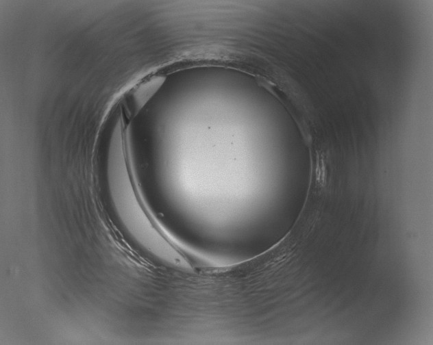 X0000076310388200610201618