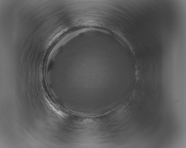 X0000076310390200610201618