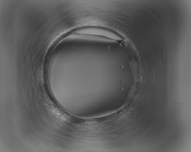 X0000076310391200610201618