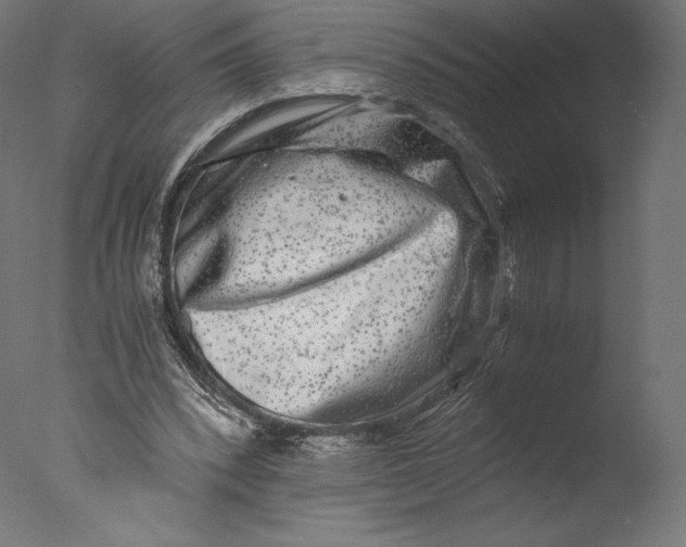 X0000076310392200610201618