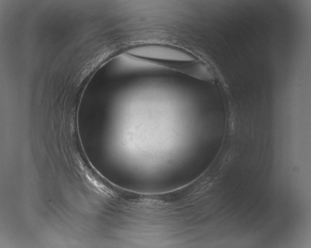 X0000076310393200610201618