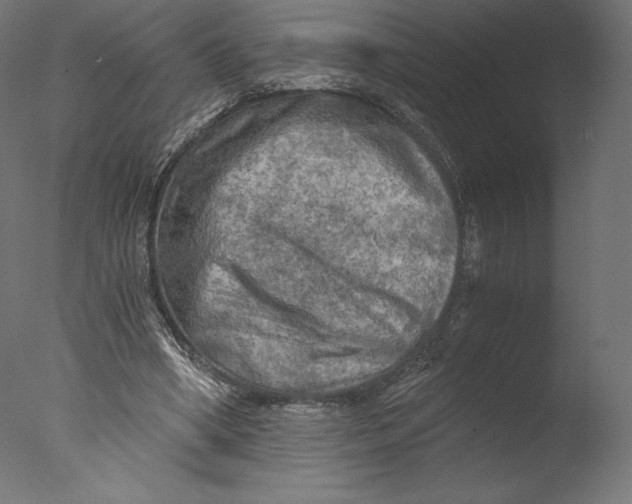 X0000076310394200610201618