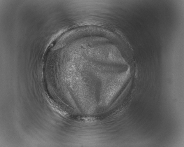 X0000076310395200610201618