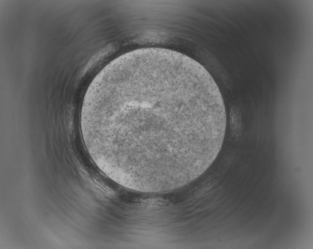 X0000076310396200610201618