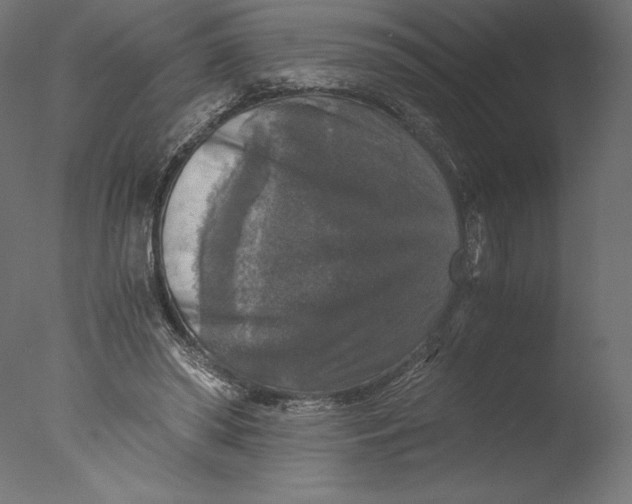 X0000076310398200610201618