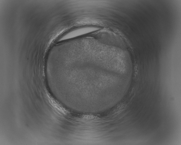 X0000076310399200610201618