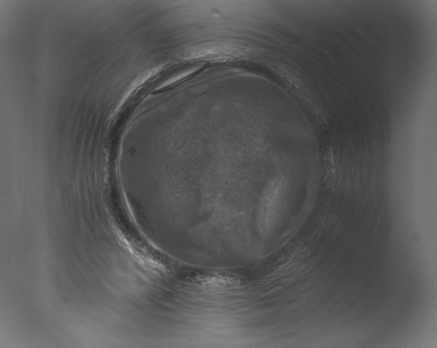 X0000076310400200610201618