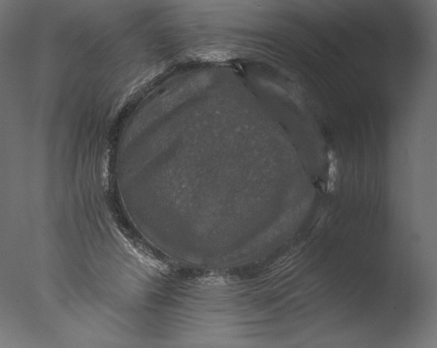 X0000076310404200610201618