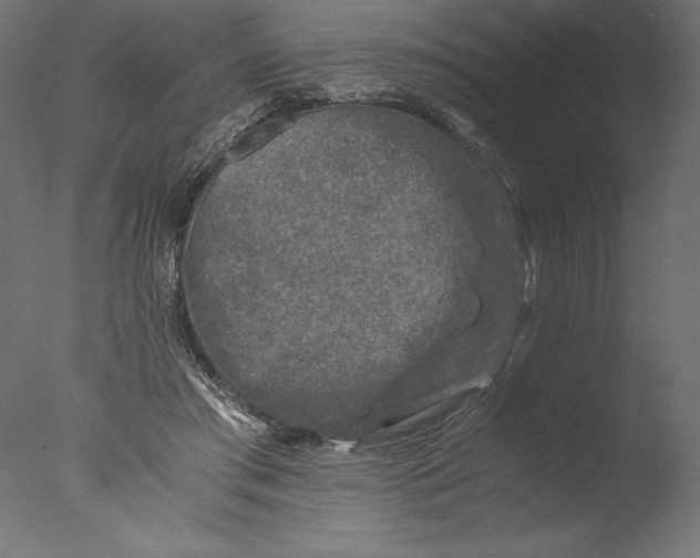 X0000076310405200610201618