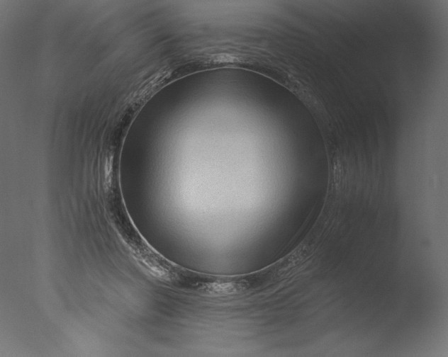 X0000076310406200610201618