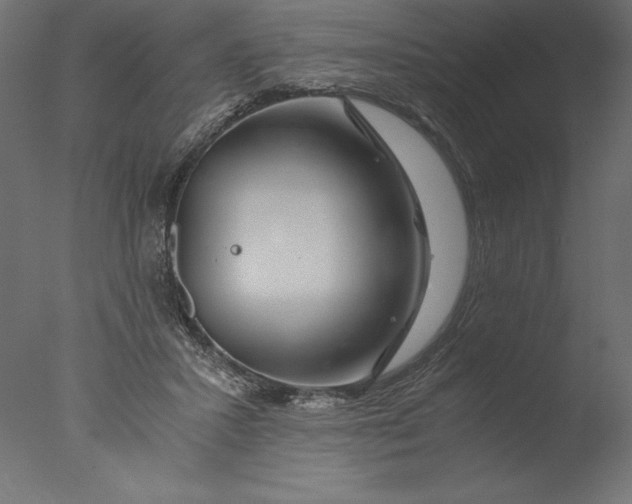 X0000076310407200610201618