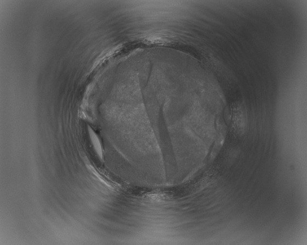 X0000076310408200610201618