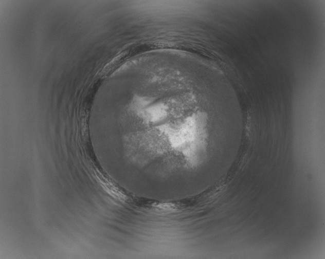 X0000076310409200610201618