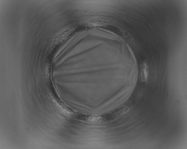 X0000076310410200610201618