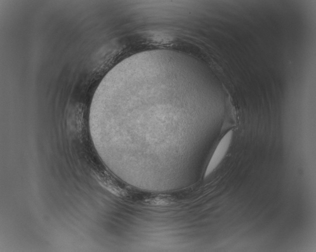 X0000076310412200610201618