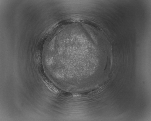 X0000076310413200610201618