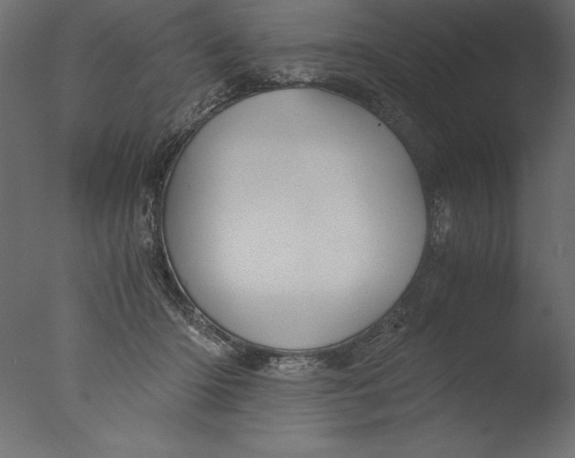 X0000076310414200610201618