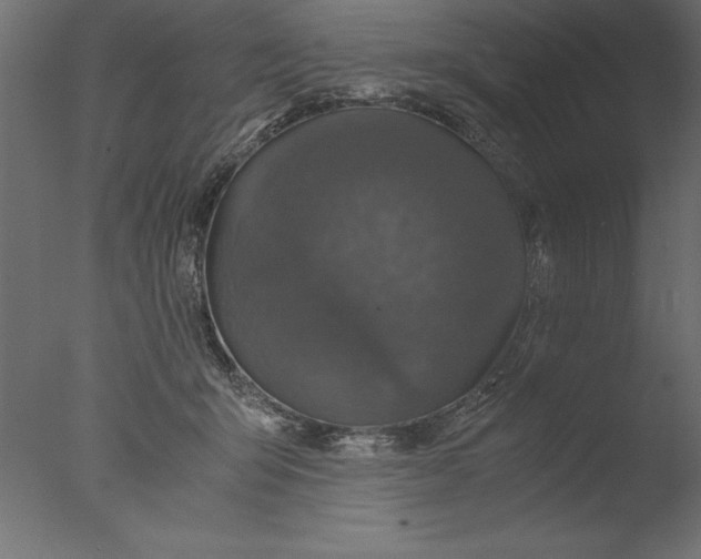 X0000076310415200610201618