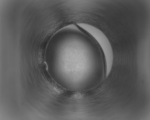 X0000076310416200610201618