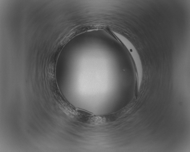 X0000076310421200610201617