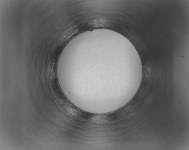 X0000076310422200610201617