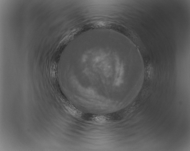 X0000076310423200610201617