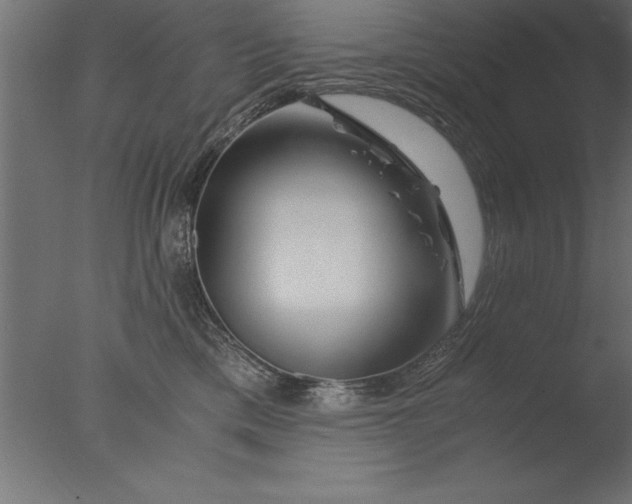 X0000076310425200610201617