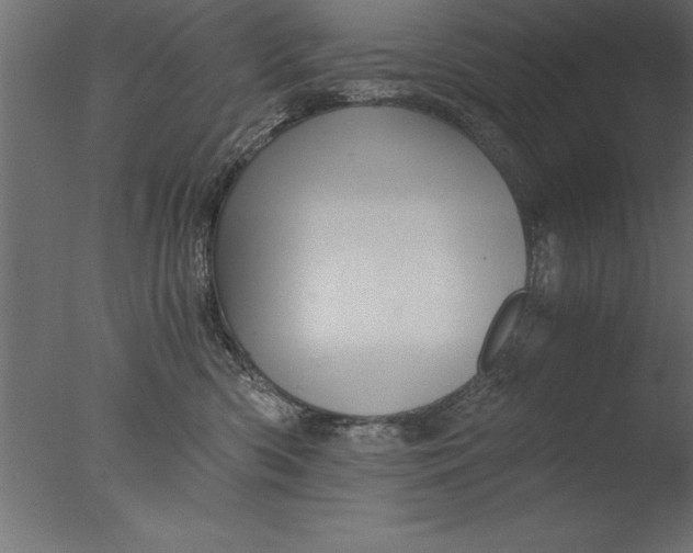 X0000076310426200610201617