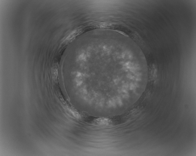 X0000076310427200610201617