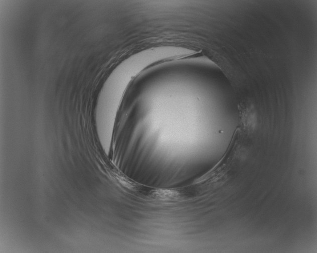 X0000076310429200610201617