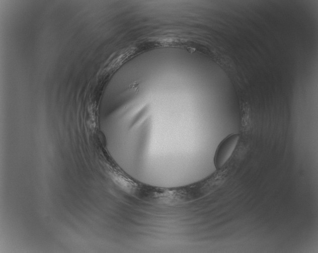 X0000076310430200610201617