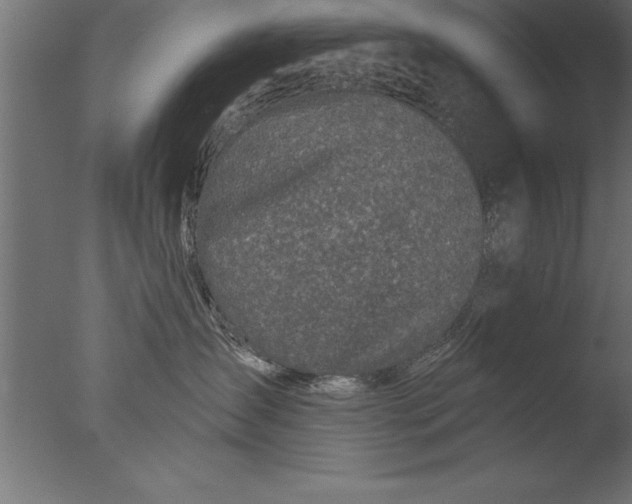 X0000076310431200610201617