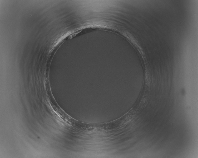 X0000076310434200610201617