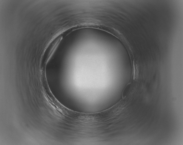 X0000076310435200610201617