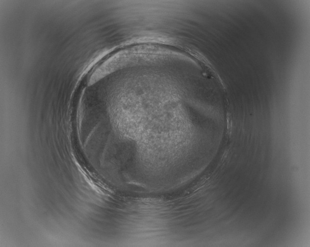 X0000076310436200610201617