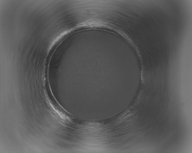 X0000076310438200610201617