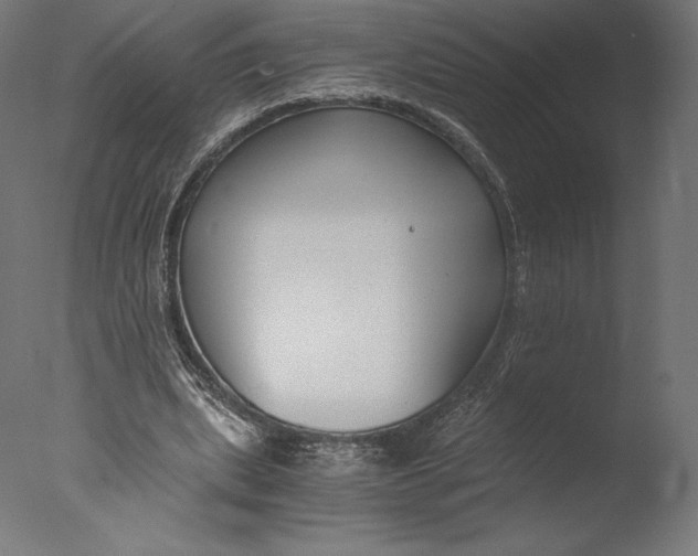 X0000076310439200610201617