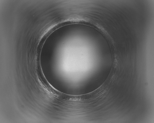 X0000076310440200610201617