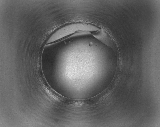 X0000076310441200610201617