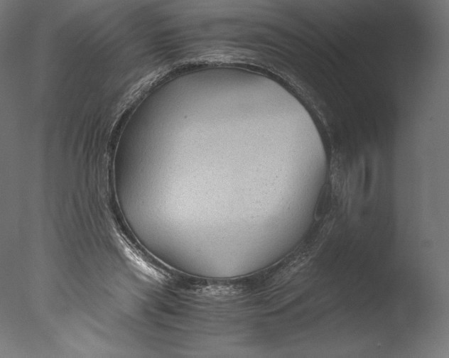 X0000076310445200610201617