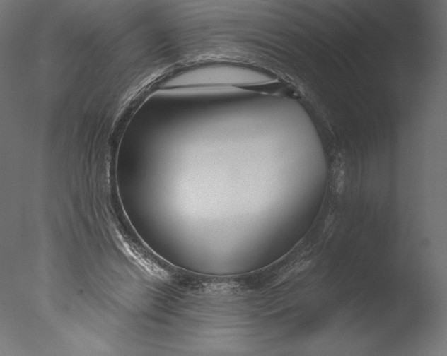 X0000076310446200610201617