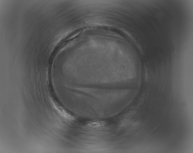 X0000076310447200610201617