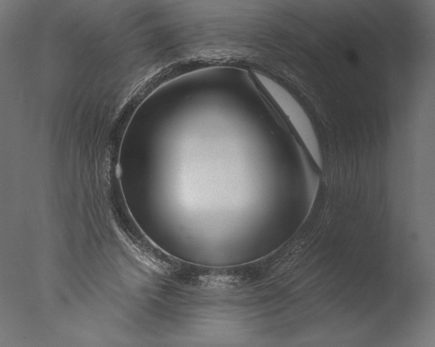 X0000076310448200610201617