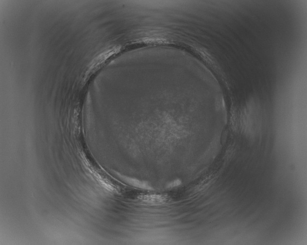 X0000076310449200610201617