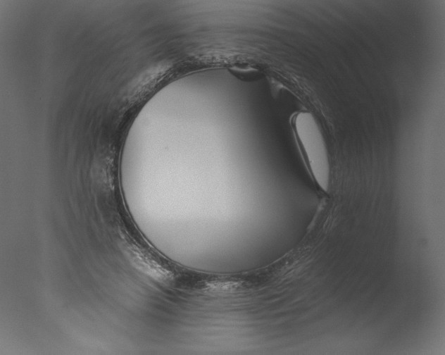 X0000076310450200610201617