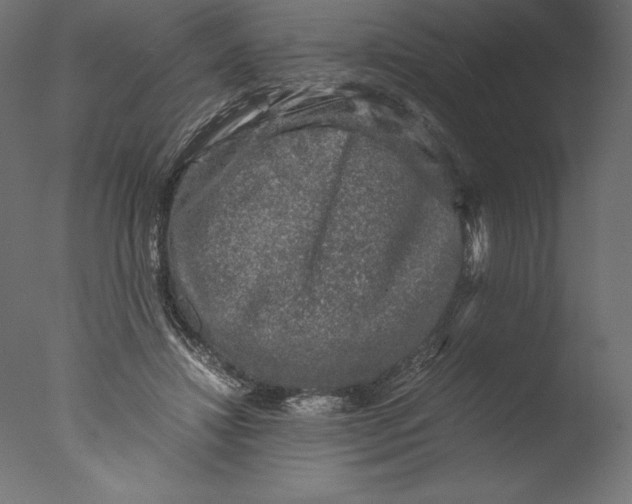 X0000076310452200610201617