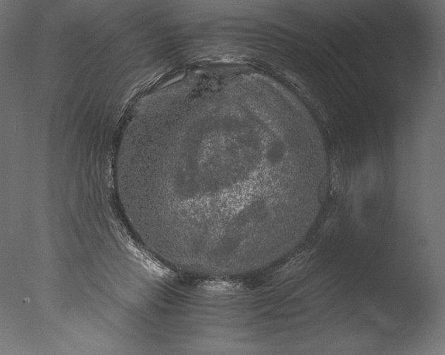 X0000076310453200610201617